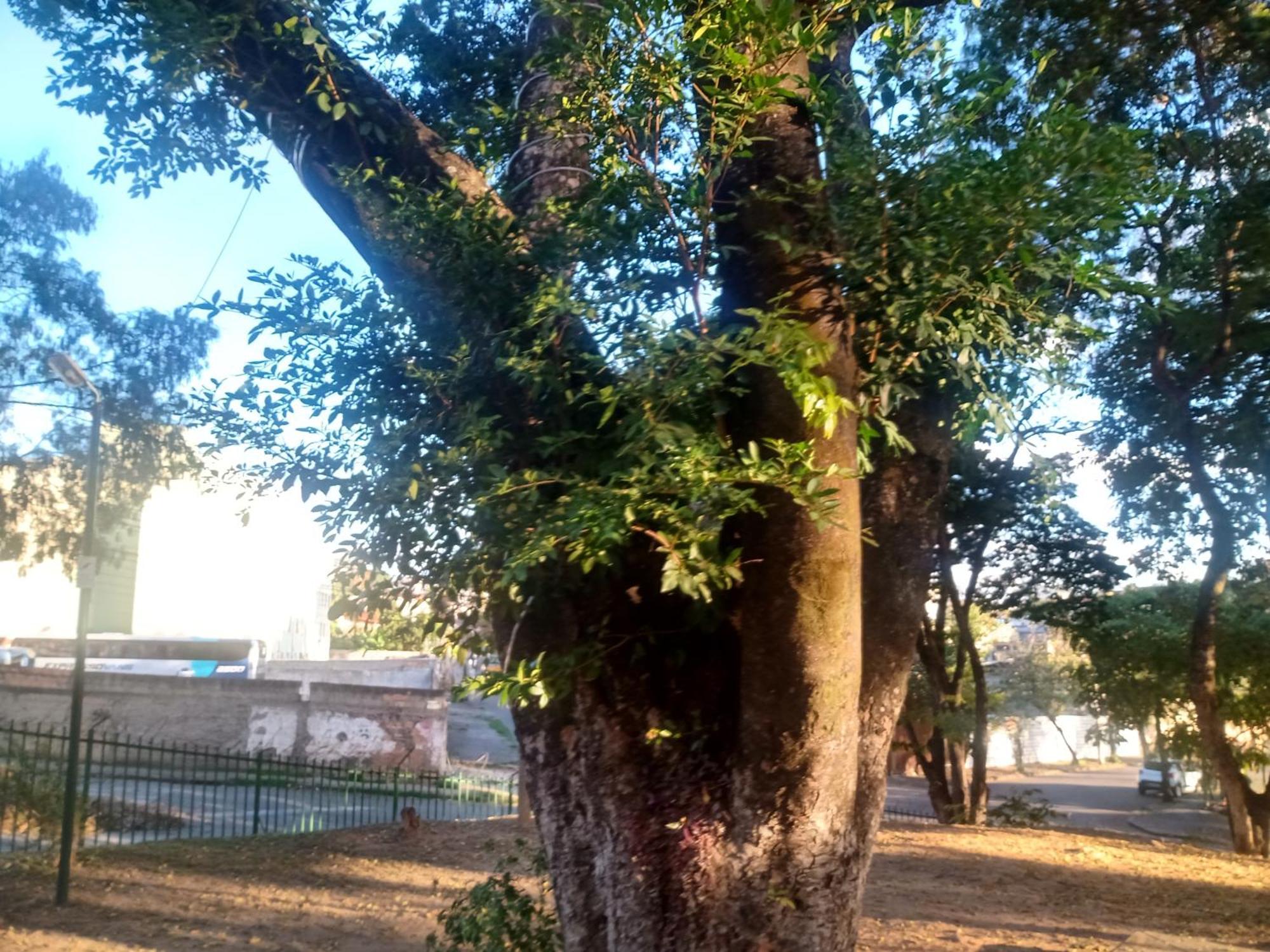 Apto Linha - Floramar * Belo Horizonte